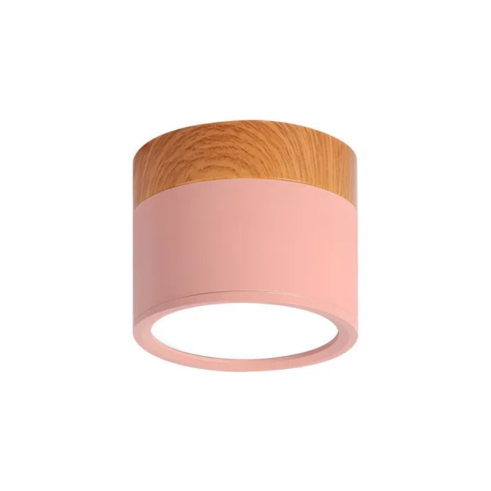 Modern Cylinder LED Hallway Ceiling Fixture