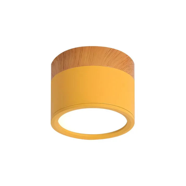 Modern Cylinder LED Hallway Ceiling Fixture