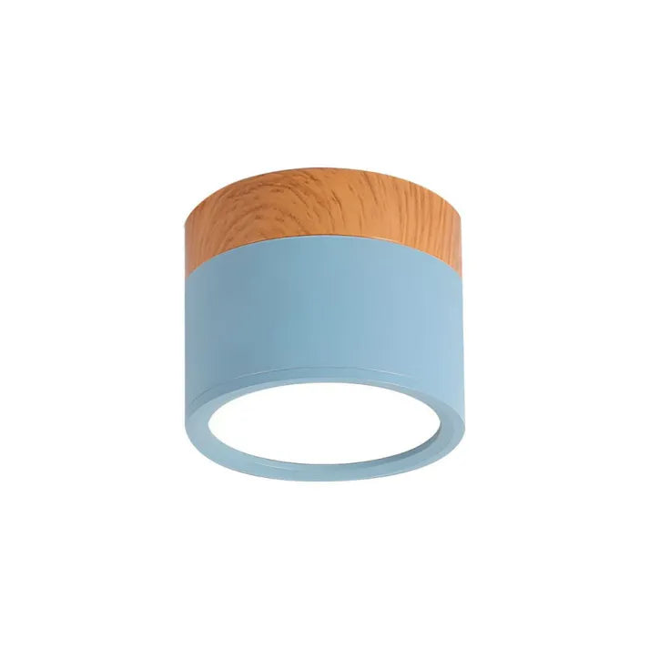 Modern Cylinder LED Hallway Ceiling Fixture
