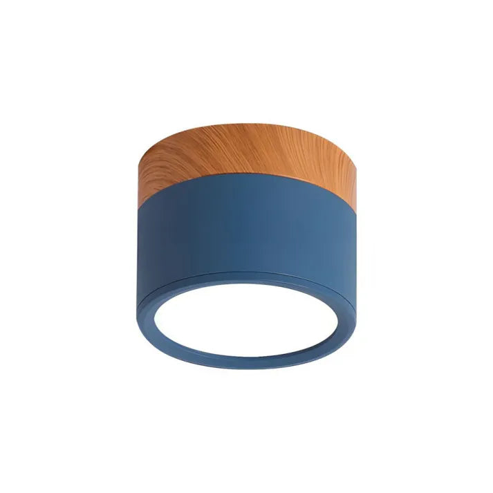 Modern Cylinder LED Hallway Ceiling Fixture