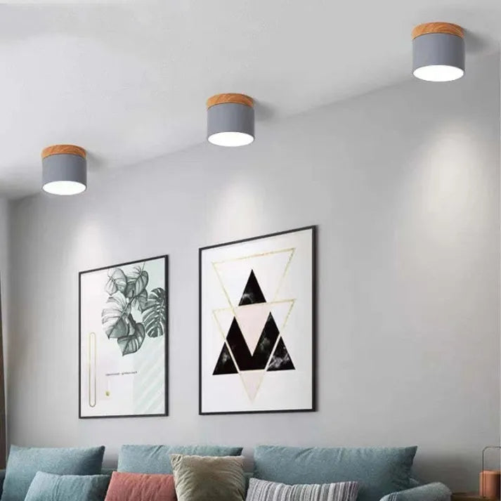 Modern Cylinder LED Hallway Ceiling Fixture