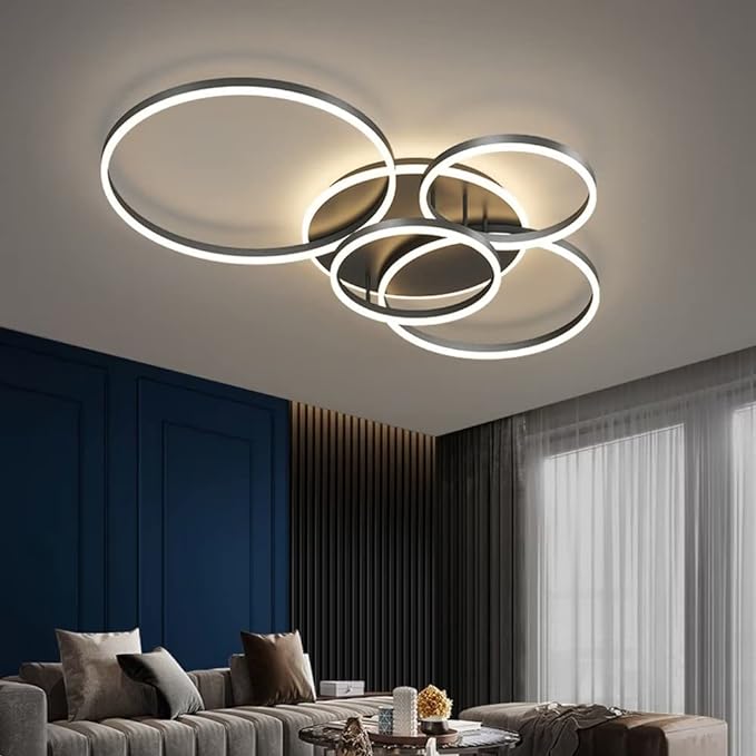Contemporary Black Ceiling Fixture