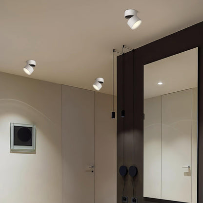Ceiling Lamp Favilla Surface Mount